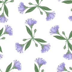 Papier Peint photo Plantes tropicales Seamless Pattern with Hand-Drawn Blue Flowers. White Background with Cornflowers for Print, Design, Holiday, Wedding and Birthday Card.