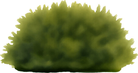 Beautiful Bushes Hand Drawn Watercolor Painting