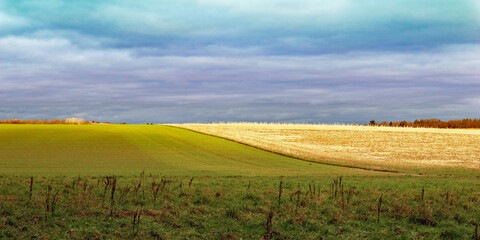 Landschaft in grün und beige