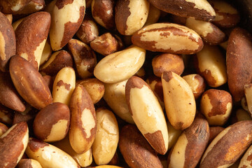 Brazil nut on dark background. Many delicious brazil nuts as background. Studio shoot. close up