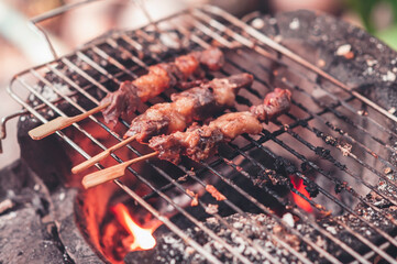Pieces of beef skewers grilled on a skewer in a clay oven.