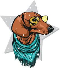 dachshund dog in yellow glasses and a green scarf under the snow on the background of a gray star