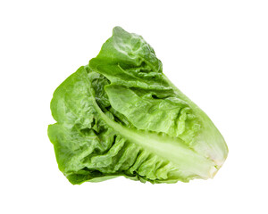 fresh baby cos (lettuce) on transparent png