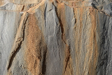 View of the texture of the forest minerals. The background is stone or rock.