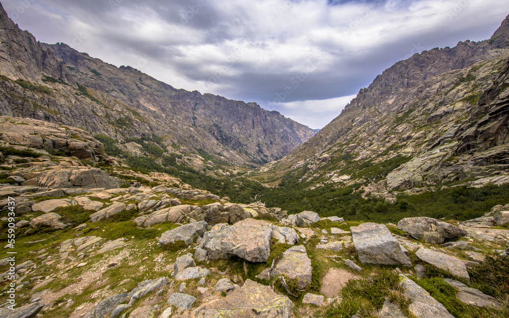 Poster Restonica gorge view