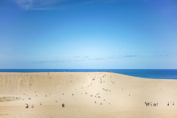 鳥取県観光地_鳥取砂丘