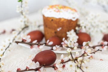 Traditional Easter cakes and colored eggs. A branch tree