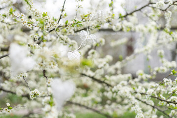 heart on flowering trees. Concept of Valentines day, Spring, Place for text.