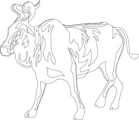 vector sketch of a bull abstract silhouette illustration for kids coloring