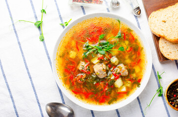Homemade Soup with Meat and Vegeatbles, Turkey Soup in a Bowl, Comfort Food