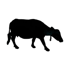 silhouette of buffalo with transparent background