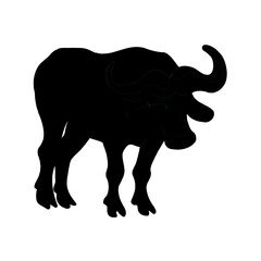 silhouette of buffalo with transparent background