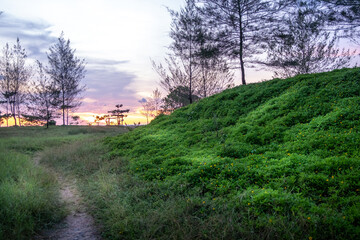 landscape in the evening