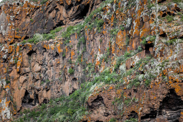 Orange and Green Rock Face of Northern Tenerife Cliffs with Cracks and Crevices