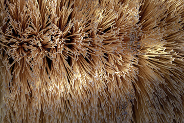 View of the road sweeper brush, close-up. Cylindrical brush for street cleaning. Brush for automatic cleaning of roads.