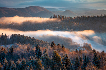 Awsome misty morning over the mountain forest during wintertime, Bieszczady, Poland