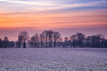 Krajobraz zimowy. Wschód słońca i zimowy poranek na polach. Świtanie w zimowej scenerii....