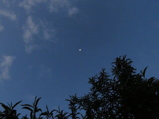 moon and clouds