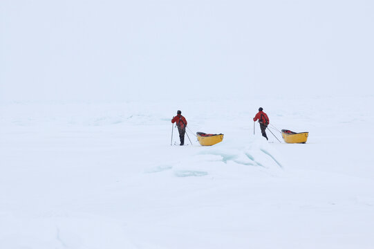 Two winter explorers are cross country skiing over the white frozen foreboding arctic tundra pulling their canoes and equipment.