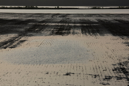 Flood farm near Finley, Tennessee