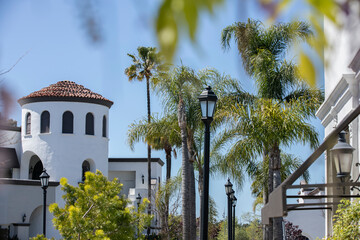Palm framed view of downtown Costa Mesa, California, USA.