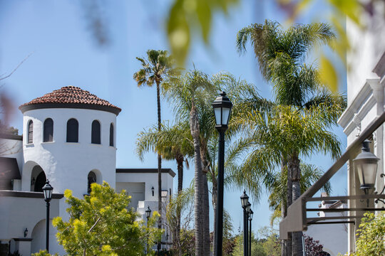 Palm Framed View Of Downtown Costa Mesa, California, USA.