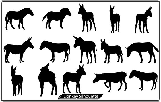 Set of Donkey silhouettes Bundle Collection