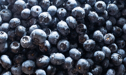 Blueberries floating. Fresh blueberries background with copy space for your text. Vegan and vegetarian concept.Texture blueberry berries close up. © Angelov