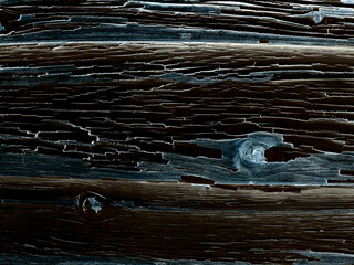 Wood Texture 