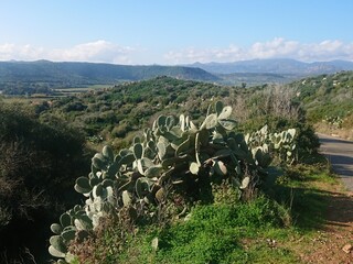 Krajobrazy Sardynii.
