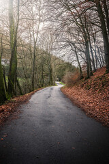 Obraz premium Burgruine Löwenburg, historical ruin of Löwenburg