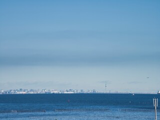 富津公園　中の島展望台から観た景色
