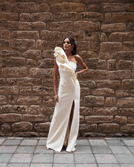 Elegant bride in a wedding dress