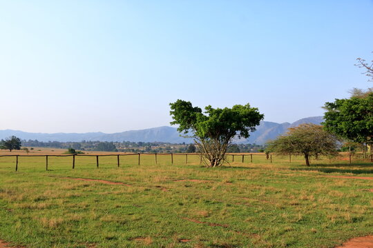 The Mlilwane Wildlife Sanctuary In Swaziland, Eswatini