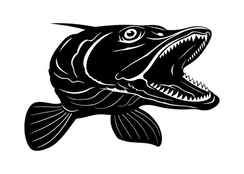 Fish Head Silhouette. Pike. Vector clipart isolated on white.