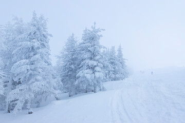 Krajobraz zimowy. Pejzaż g&oacute;rski z zamglonym niebem. 
