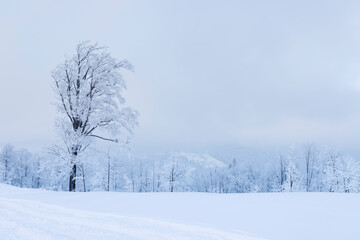 Fototapeta na wymiar Krajobraz zimowy. Pejzaż górski z zamglonym niebem. 