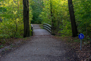 Netherlands, Hague, Haagse Bos, bridge leading to a walking path