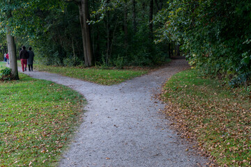 Netherlands, Hague, Haagse Bos, a path with grass and trees