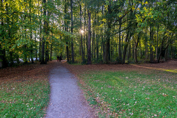 Netherlands, Hague, Haagse Bos, path leading to a forest