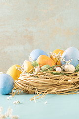Easter blue and yellow eggs in nest