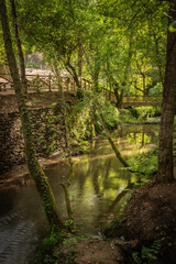 Fototapeta na wymiar Wooden footbridge and vegetation in Stanislaus fountain park