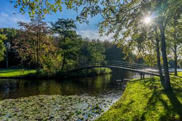 Netherlands, Hague, Haagse Bos, bridge over a lake amidst trees with sunset
