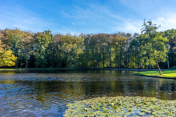 Netherlands, Hague, Haagse Bos, a pond with grass next to a body of water