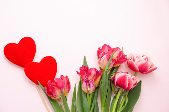 Composition for Valentine's Day and Mother's Day and March 8 Women's Day. Tulip flowers, and two red hearts on a pastel pink background with copy space. Valentine's day, mother's day,