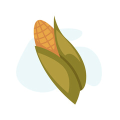 vegetable illustration vector, graphic design.