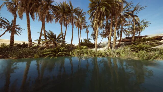 Fantasy pond oasis in a palm forest