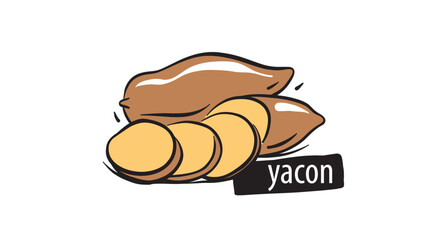 Drawn yacon isolated on a white background