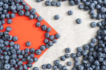 large blueberry on a red background