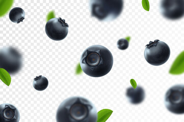 Blueberry background. Fresh berry with green leaves on transparent background. Flying focused and blurry berries. 3D realistic fruits. Falling blueberry. Nature product. Vector illustration.